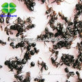 Wild red /blcak Ant powder Best price for you